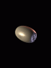 anim240x320_0044.gif